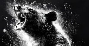 O Urso do Pó Branco: Assista ao trailer e conheça um dos filmes mais INSANOS de 2023!