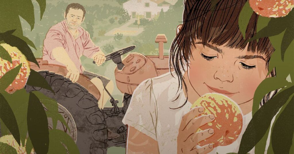 Alcarras-Filme-Mubi-Avance-Games