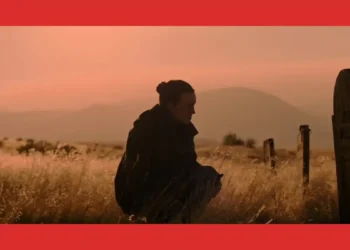 confira-resumo-completo-episodio-3-the-last-of-us-temporada-2